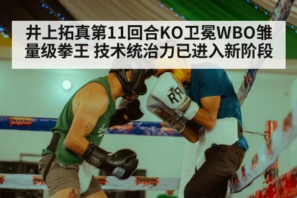 井上拓真第11回合KO卫冕WBO雏量级拳王 技术统治力已进入新阶段