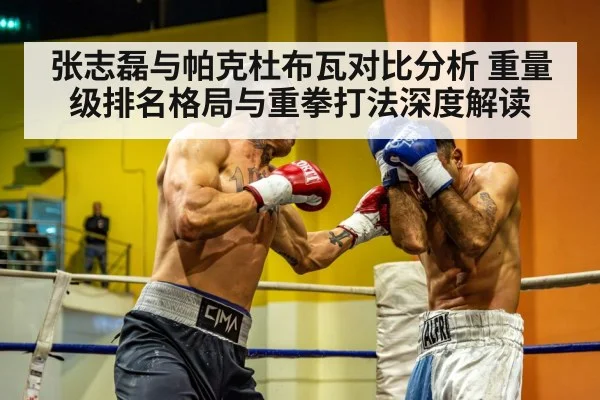 张志磊与帕克杜布瓦对比分析 重量级排名格局与重拳打法深度解读（kaiyun）