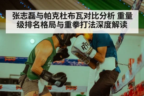 boxing ring gloves training