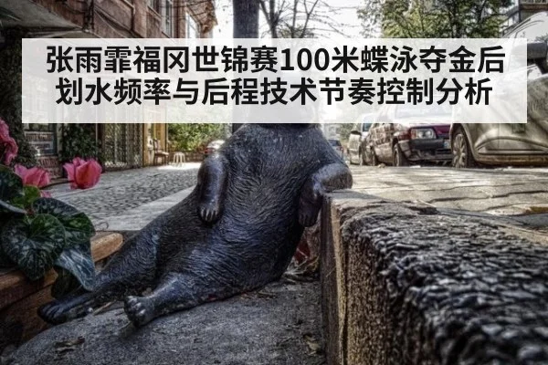 张雨霏福冈世锦赛100米蝶泳夺金后划水频率与后程技术节奏控制分析 | kaiyun